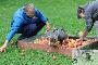 Welpen  30.08.2025 36